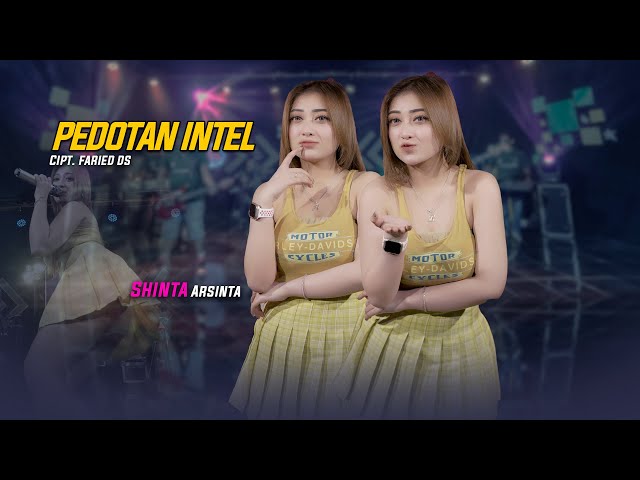 Shinta Arsinta  - Pedotan Intel [Official Music Video] class=