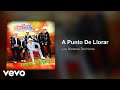Los Rieleros Del Norte - A Punto De Llorar (Audio)