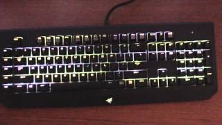 Chroma NiP: Razer Blackwidow Chroma Custom Lighting Config With Download screenshot 5
