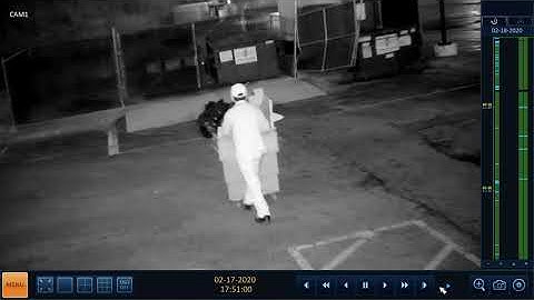 iPIMS client viewer: Search & Playback