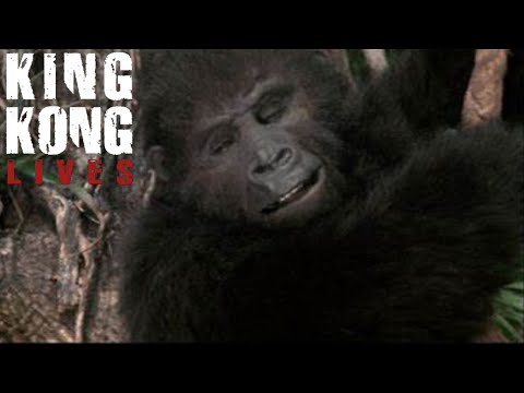 King Kong Lives [1986] - Baby Kong Screen Time