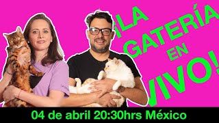 ¡LA GATERÍA EN VIVO!