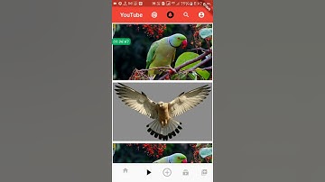 YouTube UI Clone #Day2 | Flutter UI
