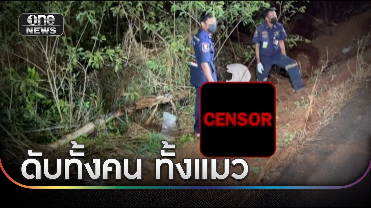 สลด! ป้าวัย 61 เก็บศพแมวถูกกระบะชนดับ | ข่าวช่องวันเสาร์อาทิตย์ | สำนักข่าววันนิวส์