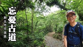 [新北平溪] 忘憂古道悠然行遇山羌聽鳥鳴看古厝