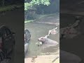 оплата на дороге