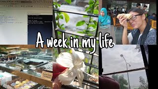 Vlog-12A Week In My Life Uni Friendsbirthday Celebrationclassesmy Flowers Tubes