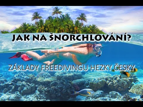 Video: Jak Si Vybrat Ploutve Pro šnorchlování