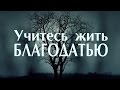 Проповедь: "Учитесь жить благодатью" (Вениамин Портанский)