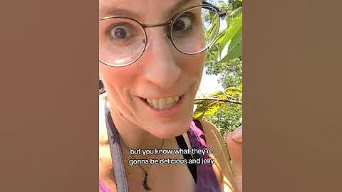 Foraging Wild Black Cherries at the beach