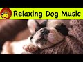 Separation anxiety music for dogs   relaxing 396 hz to calm your dog  puppy