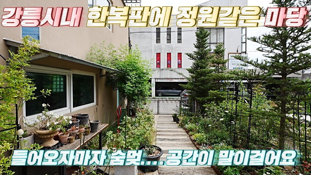 “감성 미쳤다… 인사동인 줄 알았어요” 강릉중앙시장 인근인데 시내한복판에 마당이 있어요 그것도 정원같은....#강릉부동산 #강릉주택매매 #박소장