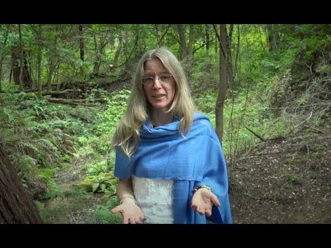 video:Feng Shui: Going With the Flow Down the River of Life with Megan Montero