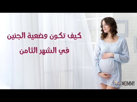 فيديو: كيفية التعامل مع الحمل المولي: 8 خطوات (بالصور)