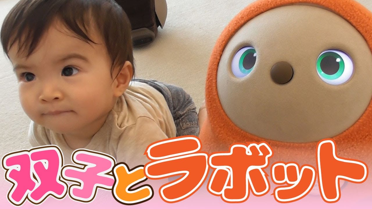 LOVOT（ラボット）とふたご達の非日常～らぼっと遊ぶ双子の赤ちゃん