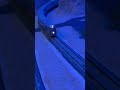 N Scale CB&amp;Q Zephyr #modeltrains #modelrailroad