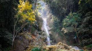 There is a river (Lyrics) by Julie Miller