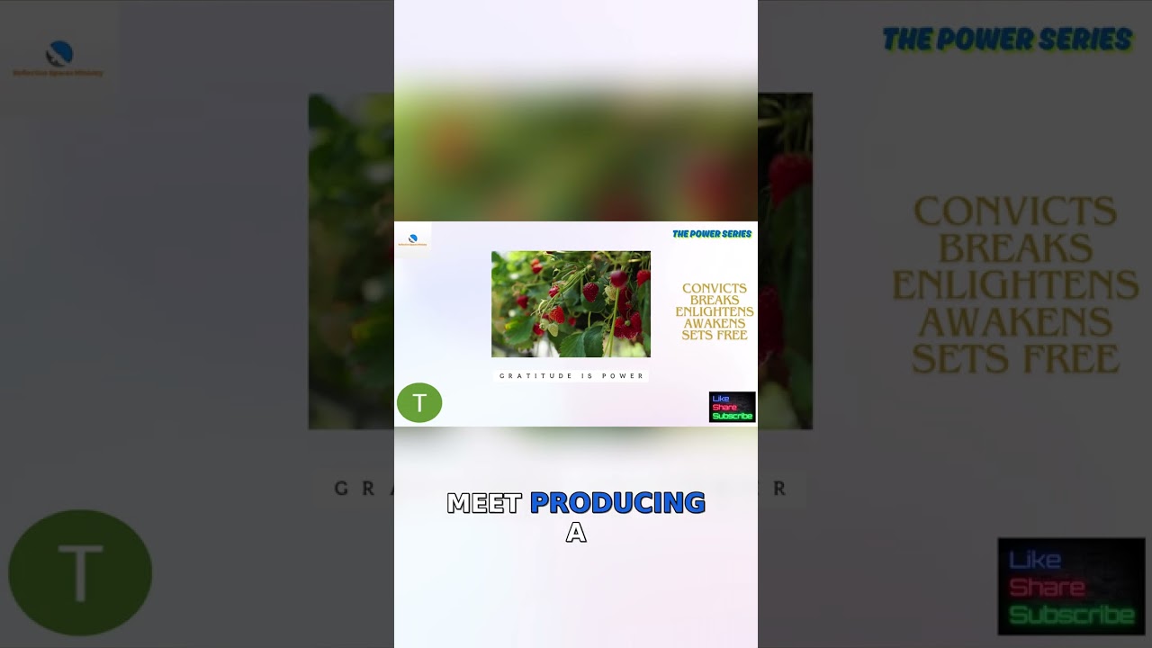 Cultivating a Beautiful Transformation with the Creator