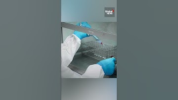 Health Canada ignored warning signs before Ottawa spent billions on BTNX rapid tests