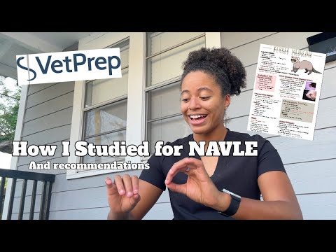 My NAVLE Advice & How I Studied #navletips #vetstudent