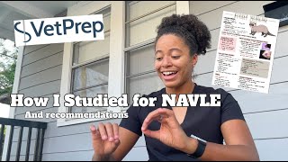 My NAVLE Advice & How I Studied #navletips #vetstudent