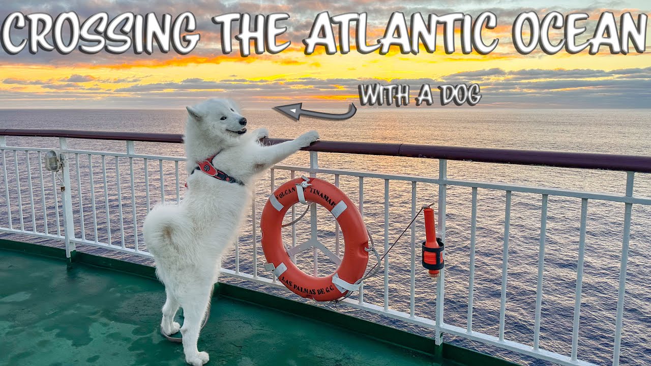 33-часовой паром с собакой (Уэльва — Канарские острова)