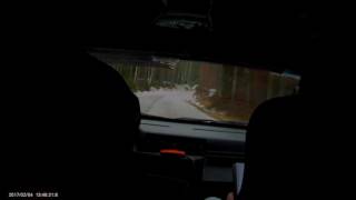 Rally SM Söderhamn ss2 2017