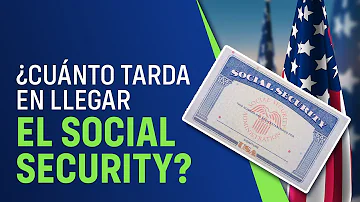 ¿Cuánto tarda en actualizarse la información del Seguro Social?