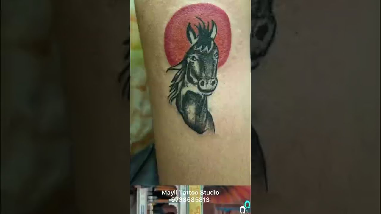 Chethan Gaja TARAK on Twitter dasadarshan nim tara horse tattoos  aksidini I love u anna httpstcoC8nkqi3yry  Twitter