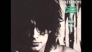 Watch Waterboys Rags video