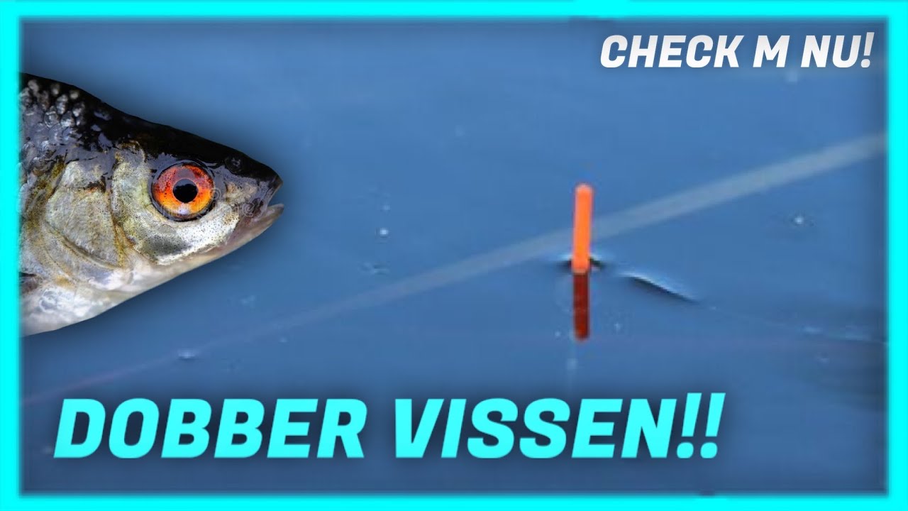 Dwingend stem Enten DOBBER VISSEN MET WERPHENGEL EN VASTE STOK!! - YouTube