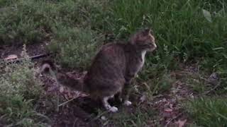 IMG 4670