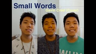 Video thumbnail of "Small Words (Gavin Creel) - Cover"