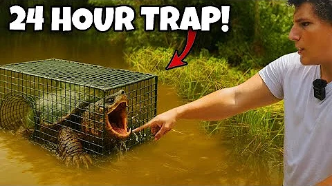I Left a 24 Hour Fish Trap Overnight… HERE’S WHAT I CAUGHT!