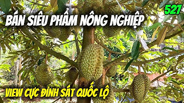 Bán siêu phẩm nông nghiệp view cực đỉnh sát quốc lộ