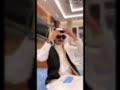 يا المزيون وشلونك منصور ال زايد سارة مهند دنو الواقع يا المزيون وشلونك منصور ال زايد سارة مهند دنو الواقع