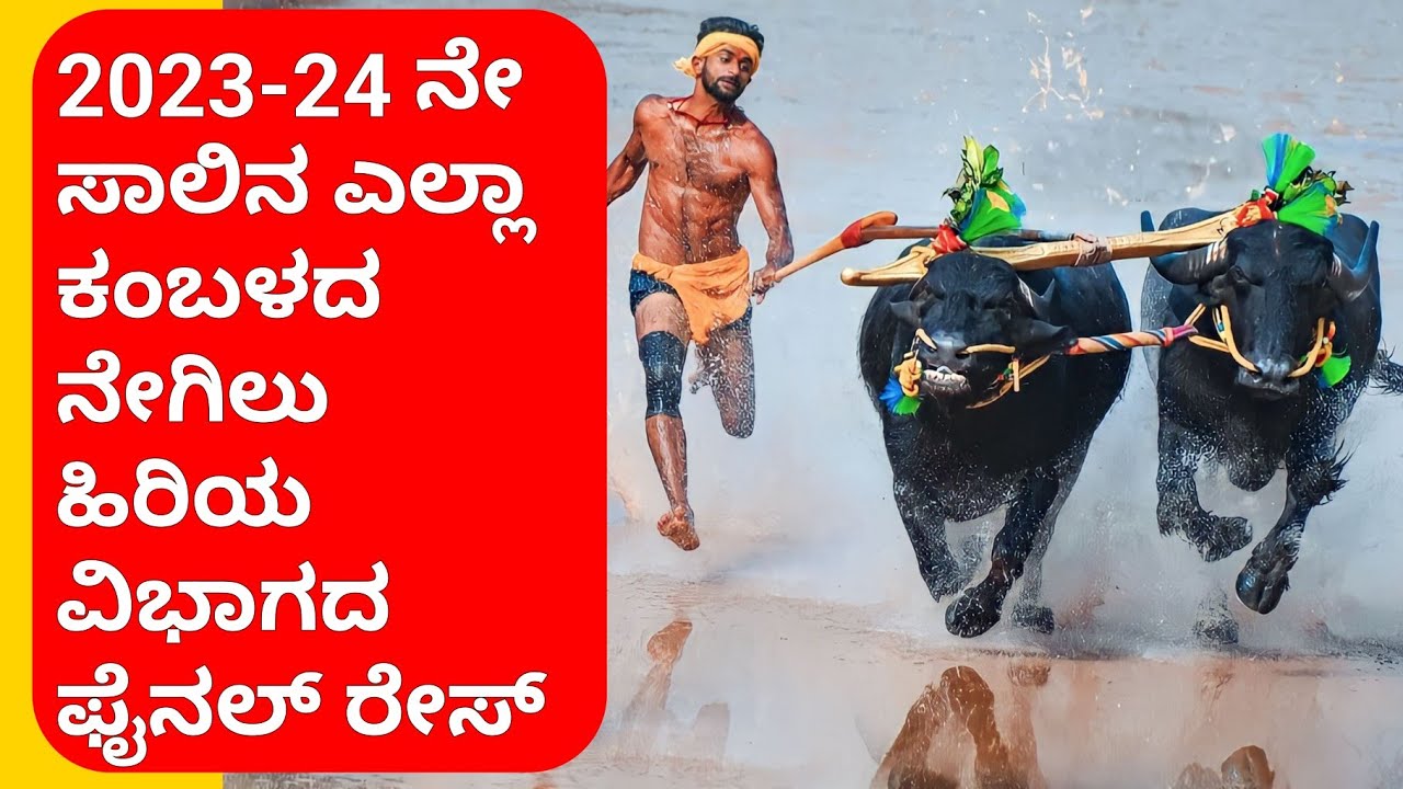 2023-24 Season Plough Senior All Kambala Final Race ನೇಗಿಲು ಹಿರಿಯ ವಿಭಾಗದ ಎಲ್ಲಾ ಕಂಬಳದ ಫೈನಲ್ ರೇಸ್