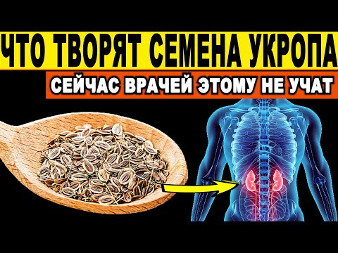 👍Всего Одна Ложка СЕМЯН УКРОПА👍 и Организм как НОВЫЙ. Что Творит СЕМЕНА УКРОПА? Врачи в ШОКЕ !