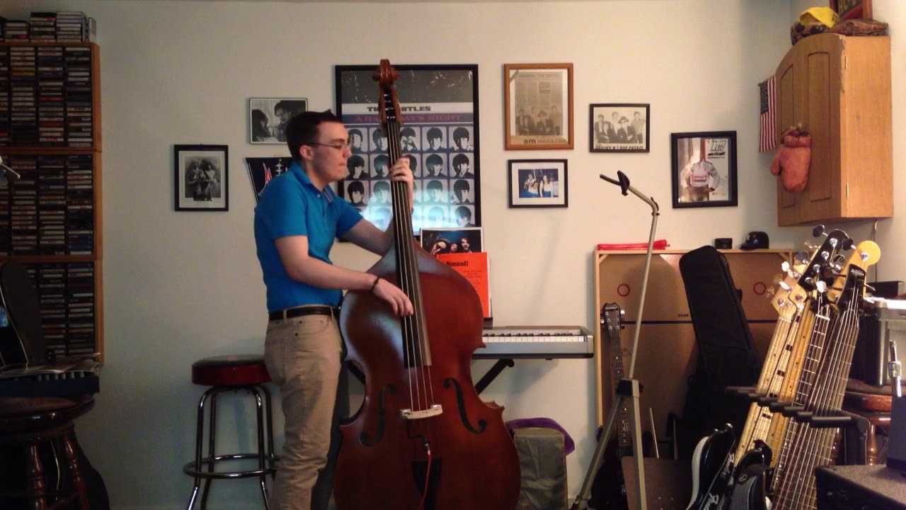 Peggy Lee - Fever (Double Bass Cover)