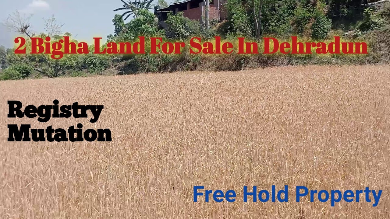 Agriculture Land For Sale In Dehradun, 2 Bigha, Near Nh72, सस्ती जमीन बिकाऊ है YouTube