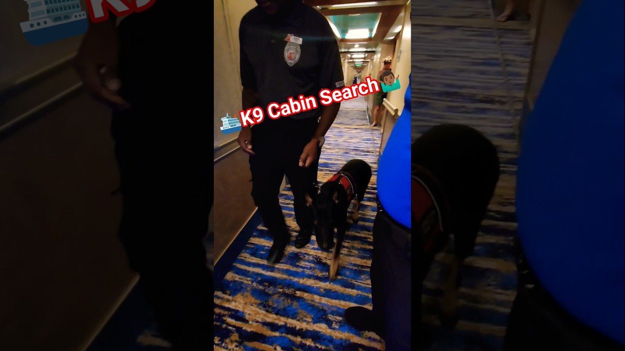 🚨K9 Alerted on my Cabin🤷🏾‍♂️