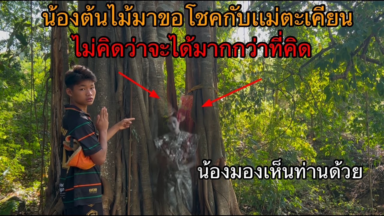 พาน้องต้นไม้มาขอโชคกับแม่ตะเคียน!กลับได้มากกว่าที่คิด!น้องเป็นอะไรกับแม่ตะเคียน!?