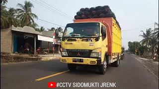 USLUK-USLUK BATOK - VERSI KURMA BALAP PRASETYO 😱|| JANGAN MAIN-MAIN SAMA OLENGANNYA GAESS😎🤘🏻