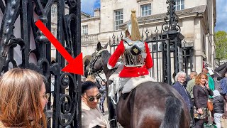 ADAMANT Tourists Almost Squashed By King’s Horse by The King's Guards and Horse UK 3,618 views 2 weeks ago 47 minutes