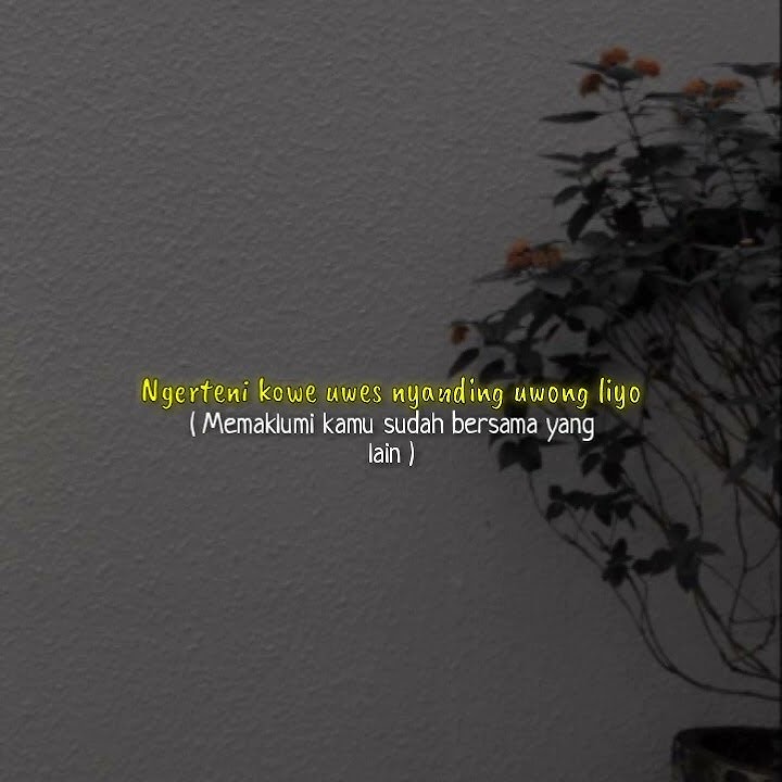 status wa balik kanan wae - happy asmara