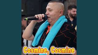 Video thumbnail of "Nicolae Guță - Cosmine, Cosmine"