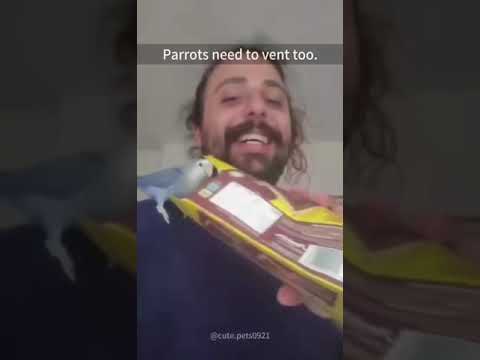 Попугаи повторяют #funnyvideos #2025