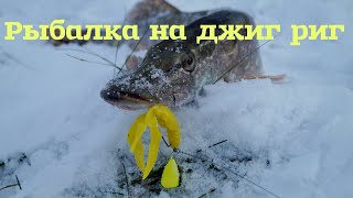 Рыбалка на джиг риг