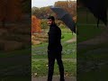 لسنا جاهلين بما يدور حولنا لكن الأمر لا يستحق منا الإلتفات أسود مطر خريف حب حياة انا حنين