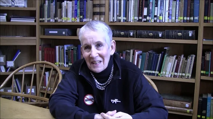 Alleged Assault by NH Rep Debra Altschiller (D-Str...